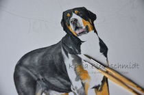 Portrait nach Foto, Aquarell, Tierportrait, Portrait zeichnen