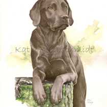 Portrait nach Foto, Portrait vom Foto, Portrait malen lassen, Aquarell malen