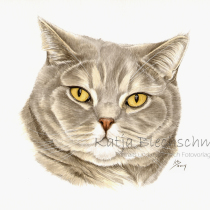 Portrait nach Foto, Portrait vom Foto, Portrait malen lassen, Aquarell malen