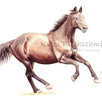 Portrait nach Foto, Portrait vom Foto, Portrait malen lassen, Aquarell malen