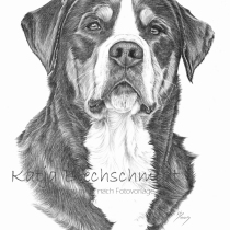 Portrait nach Foto, Portrait vom Foto, Bleistiftzeichnung, Portrait zeichnen lassen, Zeichnung