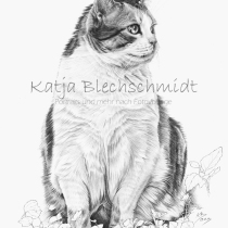 Portrait nach Foto, Portrait vom Foto, Bleistiftzeichnung, Portrait zeichnen lassen, Zeichnung