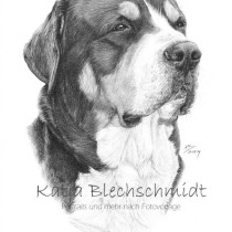 Portrait nach Foto, Portrait vom Foto, Bleistiftzeichnung, Portrait zeichnen lassen, Zeichnung