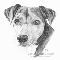 Portrait nach Foto, Portrait vom Foto, Bleistiftzeichnung, Portrait zeichnen lassen, Zeichnung