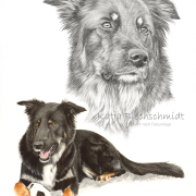 Portrait nach Foto, Bleistiftzeichnung, Aquarell, Portrait zeichnen