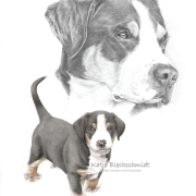 Portrait nach Foto, Bleistiftzeichnung, Aquarell, Portrait zeichnen