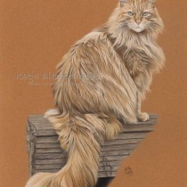 Portrait nach Foto, Pastellzeichnung, Auftragsarbeit, Portrait zeichnen, Zeichenauftrag